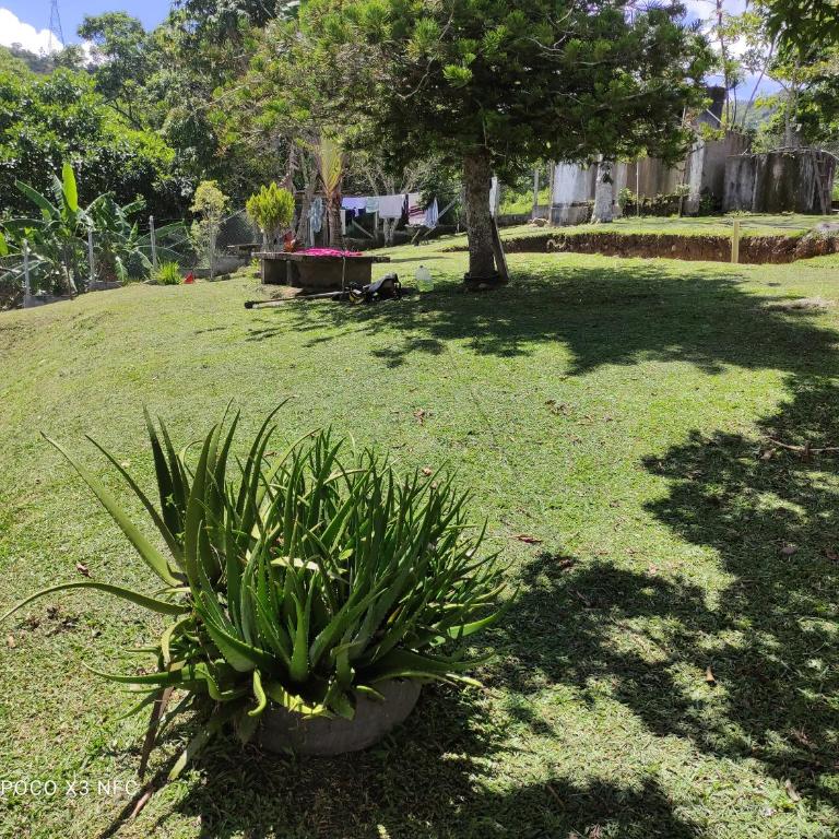 Guadalupe - Apartamento de 1 dormitorio - 8