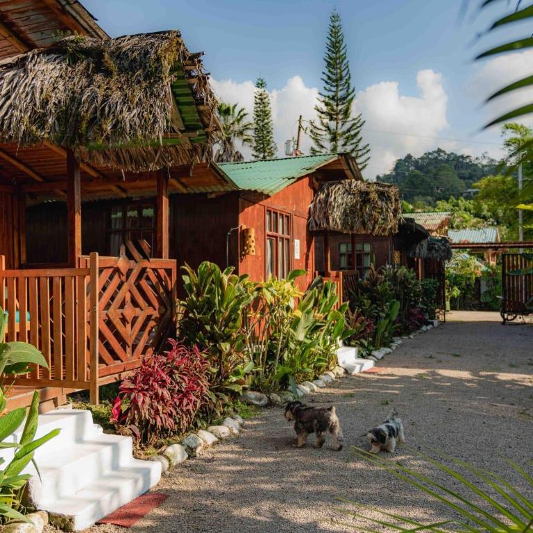 Mindo GlamBird Glamping & Lodge - Villa - 14