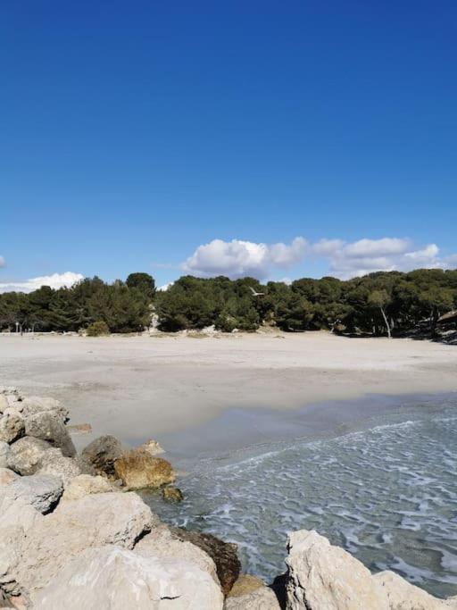 Studio Le Calme, plages à pied et jardin, La Couronne - One-Bedroom House - 15