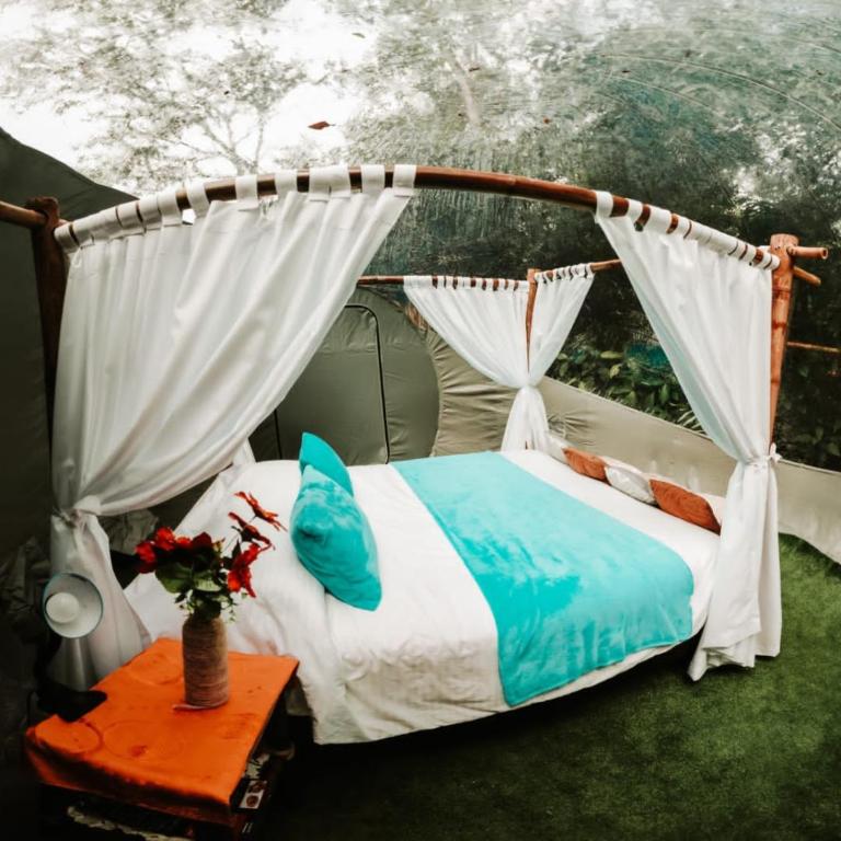 Mindo GlamBird Glamping & Lodge - Tent - 5