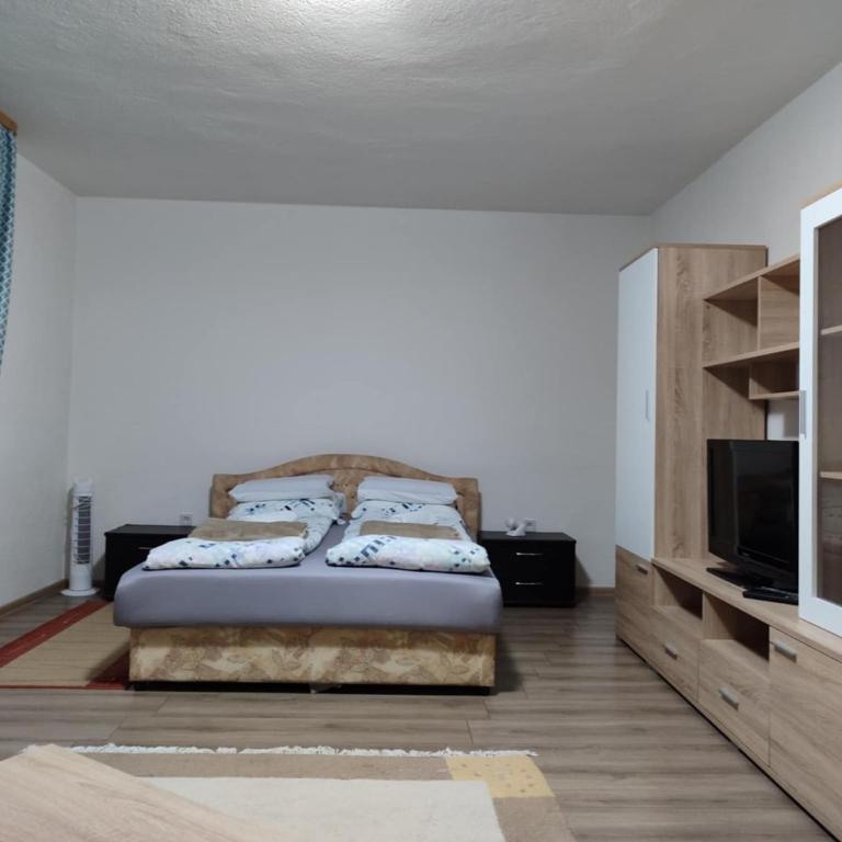 Apartment Hatinac - One-Bedroom Apartment - 1