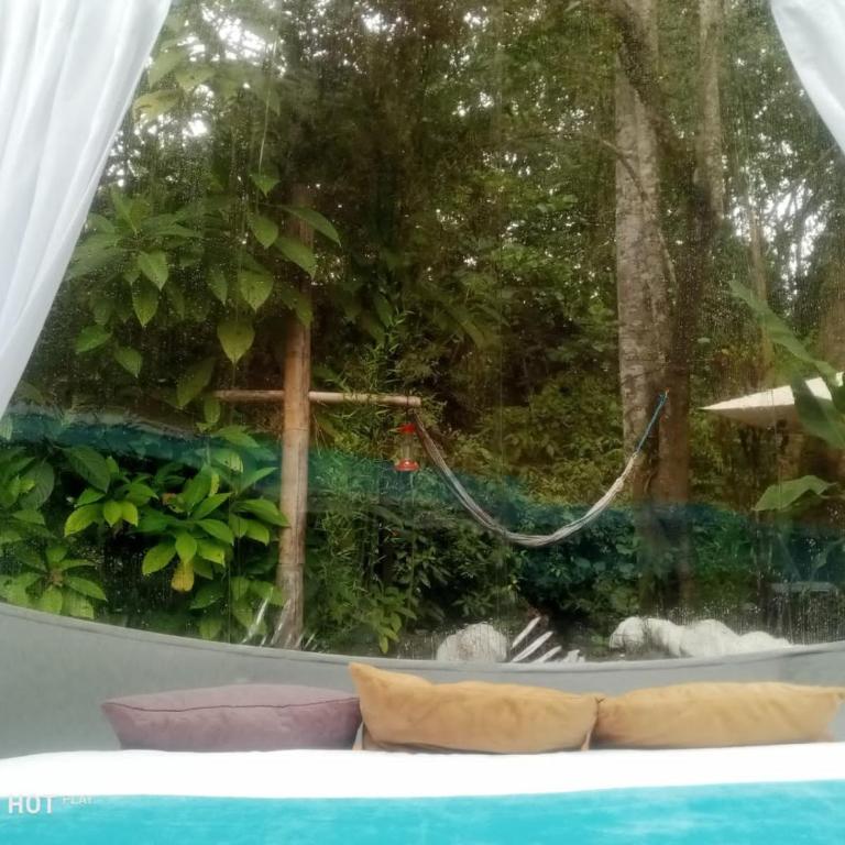 Mindo GlamBird Glamping & Lodge - Tent - 7