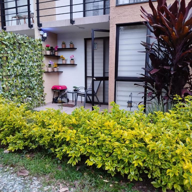 Apartasol Greenview tebaida - Apartamento de 3 dormitorios - 4