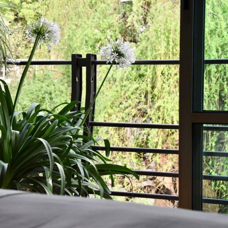 Beautiful LOFT in Trendy ROMA-CONDESA Elevator - Apartamento de 1 dormitorio - 5
