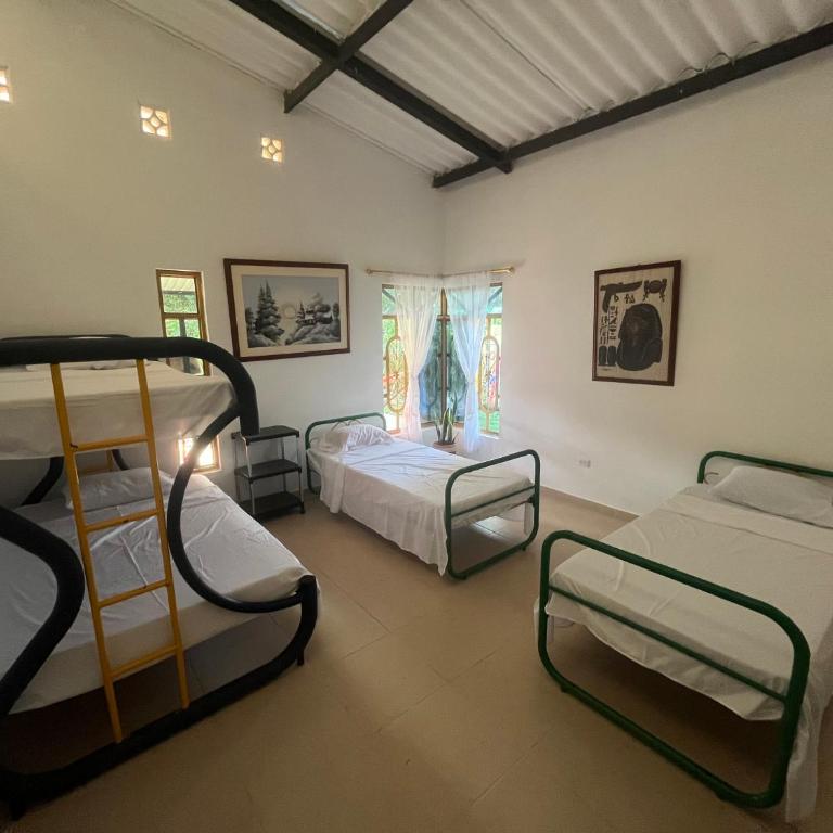 Hostal Macayaco - Casa de 3 dormitorios - 10