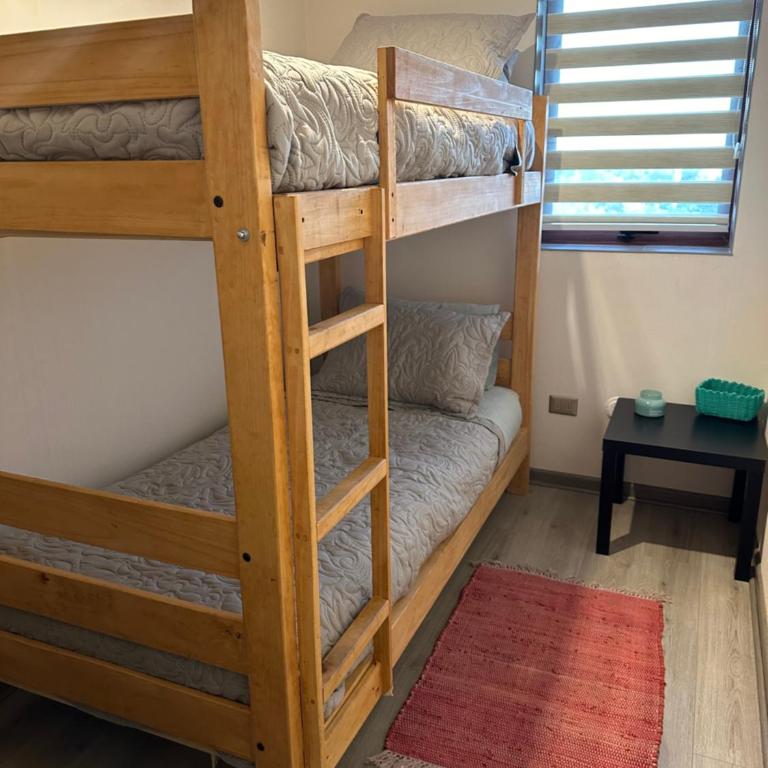 Departamento centro Chillan 2D-2B-Estacionamiento - Apartamento de 1 dormitorio - 13