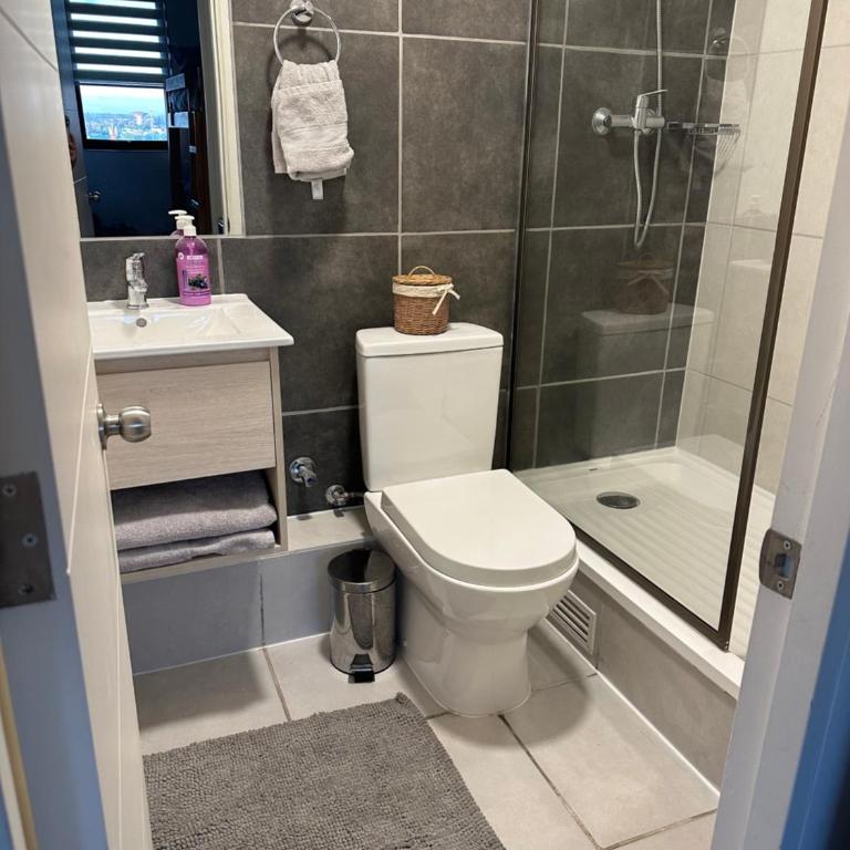 Departamento centro Chillan 2D-2B-Estacionamiento - Apartamento de 1 dormitorio - 16