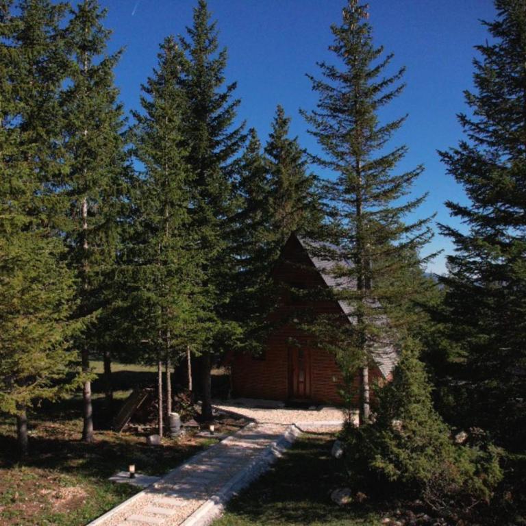 Wonderwood Cabin 2 - One-Bedroom Chalet - 12