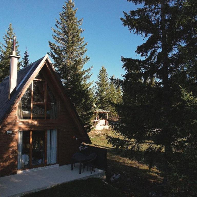 Wonderwood Cabin 2 - One-Bedroom Chalet - 2