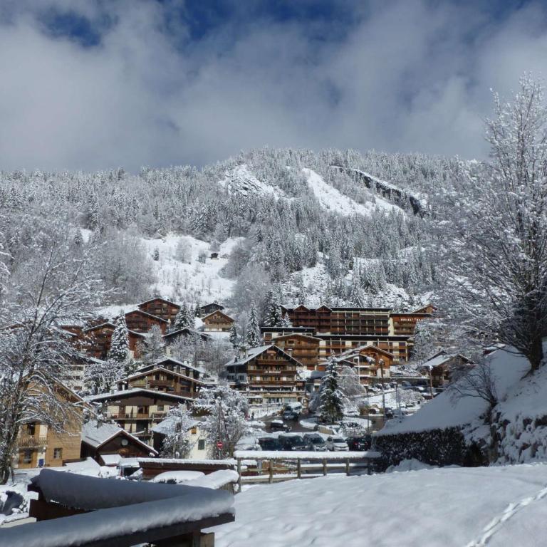 Appartement centre village, 4 pers, Parking, Wifi - FR-1-437-23 - Apartamento (4 adultos) - 11
