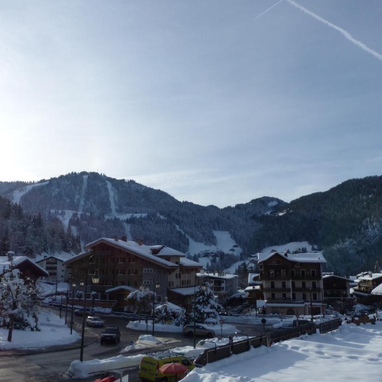 Duplex 2 chambres au centre du village, proche pistes de ski, parking inclus, La Clusaz - FR-1-437-40 - Apartment (6 Adults) - 12