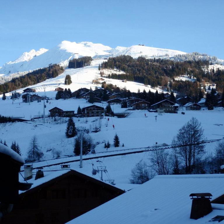 Appartement cosy, proche pistes et centre, 3 pièces, 6 pers, cheminée, balcon, parking - FR-1-437-53 - Appartement (6 Adultes) - 11