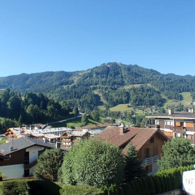 Charmant appartement proche ski et village, animaux admis - FR-1-437-31 - Apartamento (4 adultos) - 13
