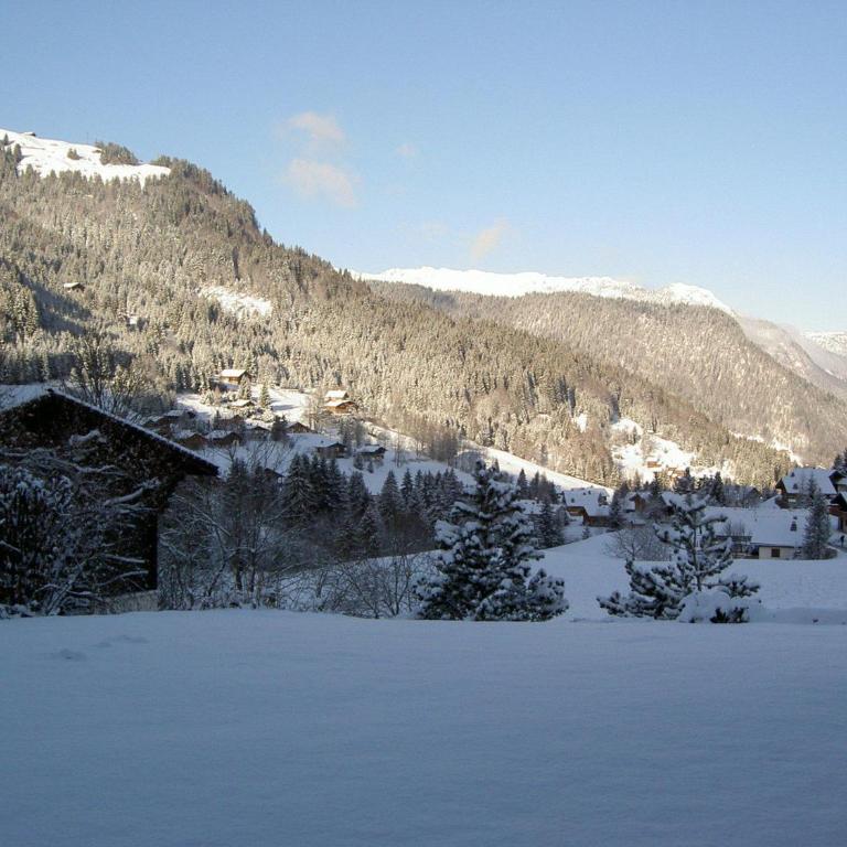 Rez de chalet calme avec terrasse - 2 chambres, proche pistes à La Clusaz - FR-1-437-10 - Appartement (6 Adultes) - 5