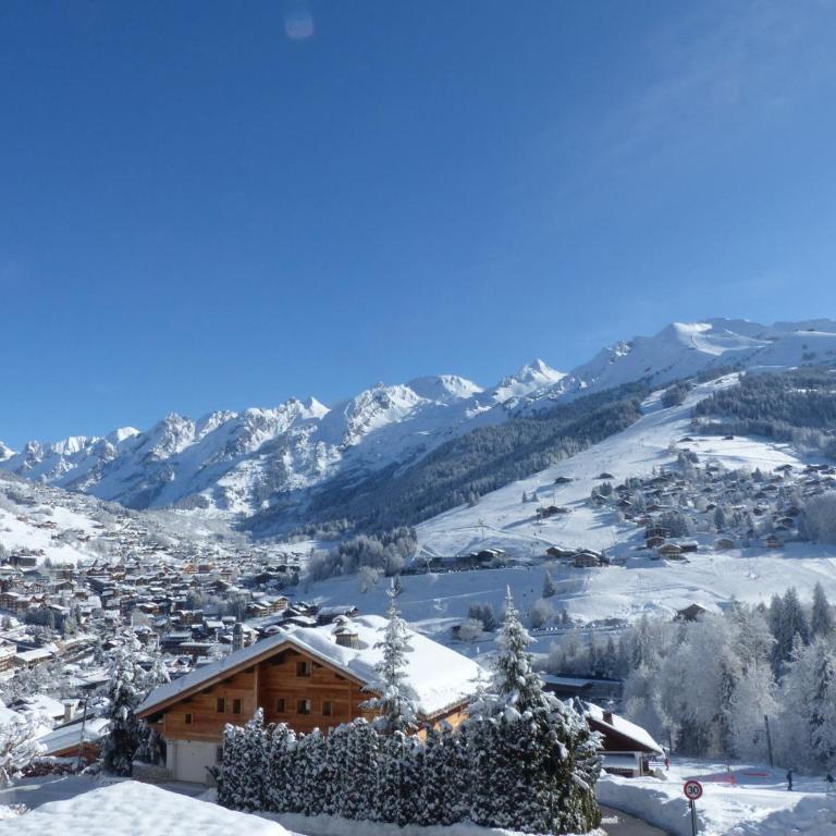 Chalet 4 ch, proche pistes, idéal familles/amis, WIFI - FR-1-437-56 - Chalet (9 Adultes) - 17