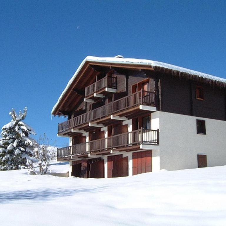 Appartement cosy aux Saisies, 6 pers, plein sud, proche centre - Apartamento de 1 dormitorio - 3