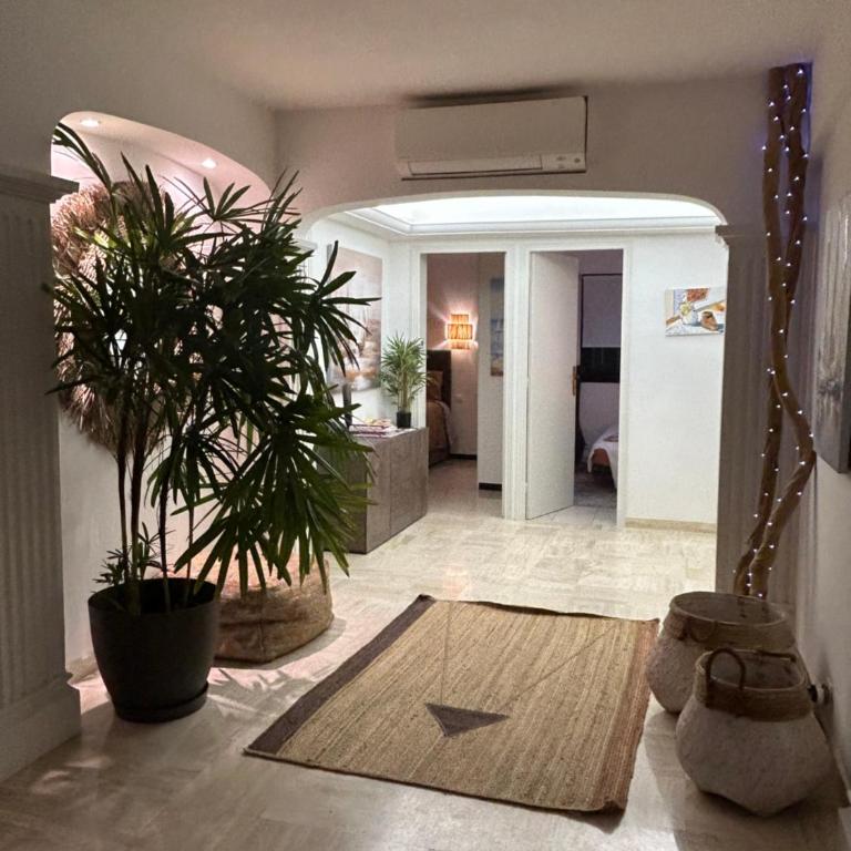 Premium Sea Front Apartment - Appartement 3 Chambres - 15