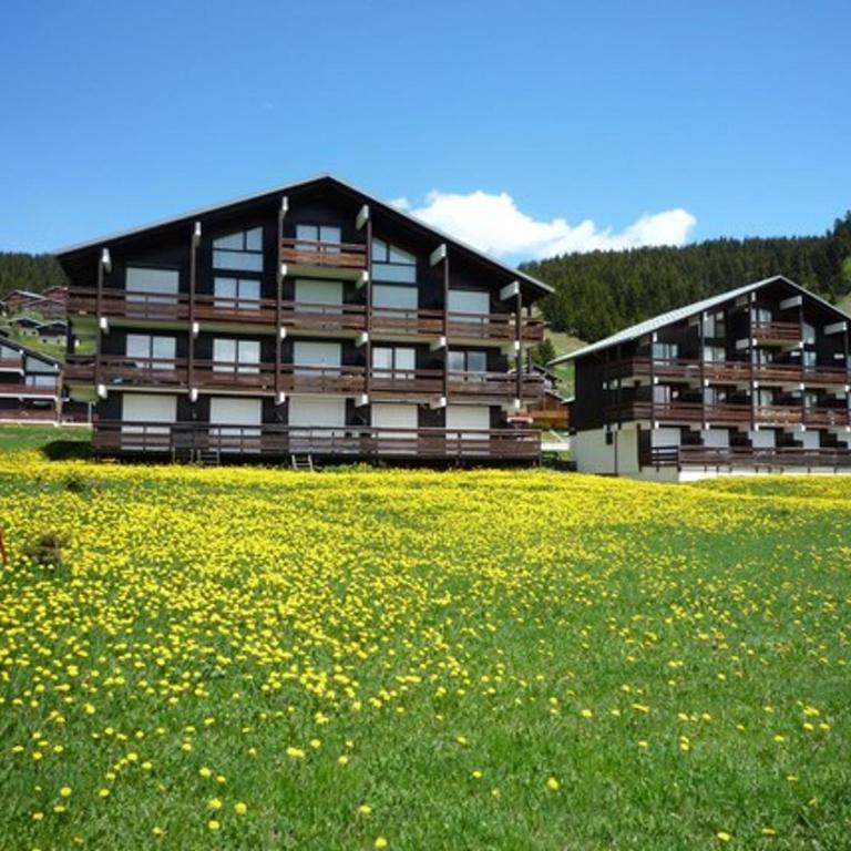 Studio cabine rénové 4 personnes, balcon sud, garage inclus - FR-1-293-152 - Studio - 2