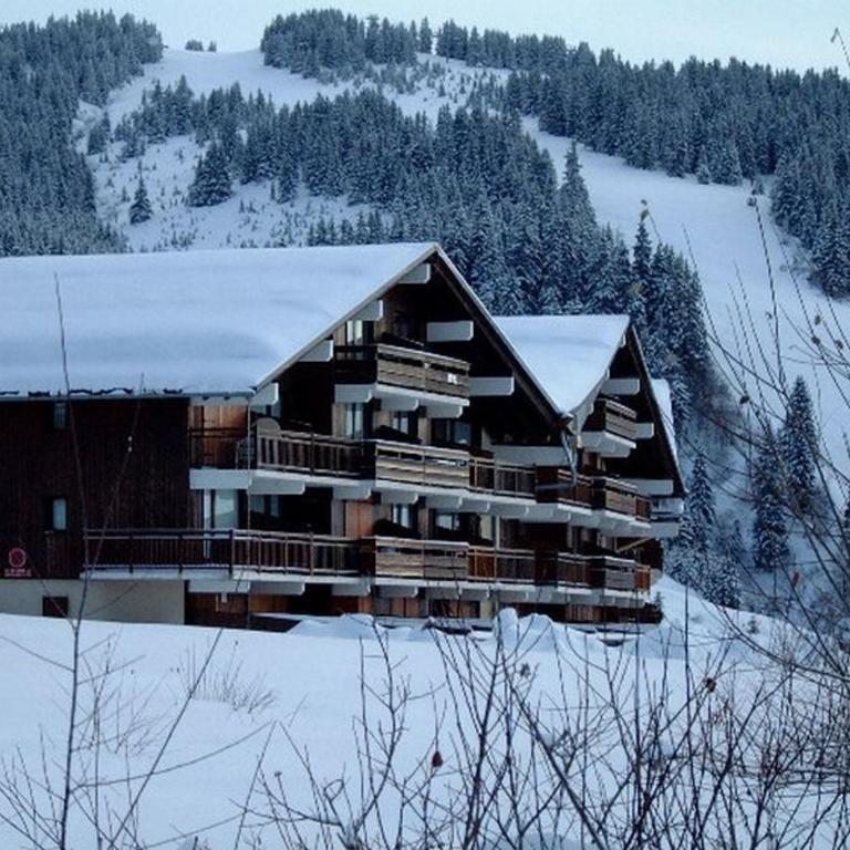 Les Saisies: T2 cabine, 6 pers, terrasse sud, animaux admis - Apartment mit 1 Schlafzimmer - 2