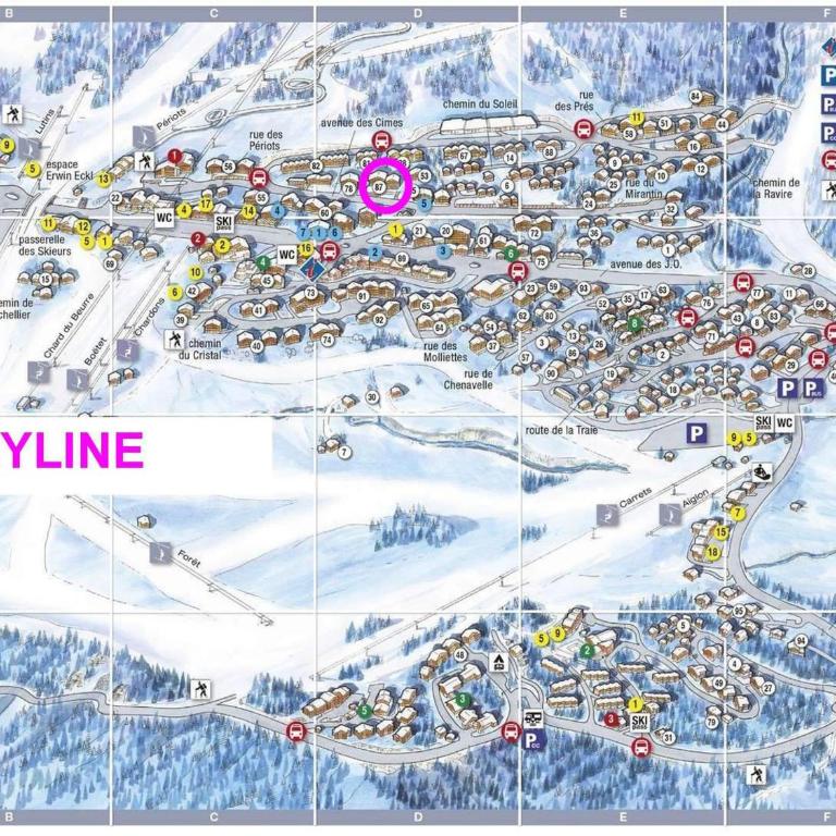 Studio cabine rénové 4/5 pers, vue pistes, Les Saisies - Studio - 4