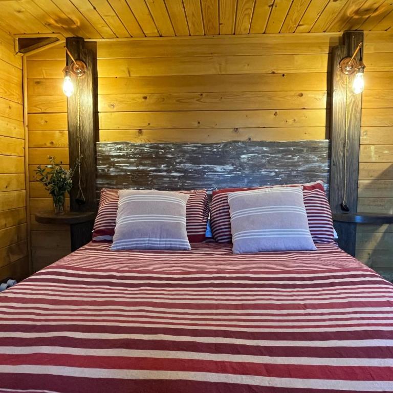 "LOS CASTILLOS" Casa Rural y espacio para eventos - Casa de 5 dormitorios - 3