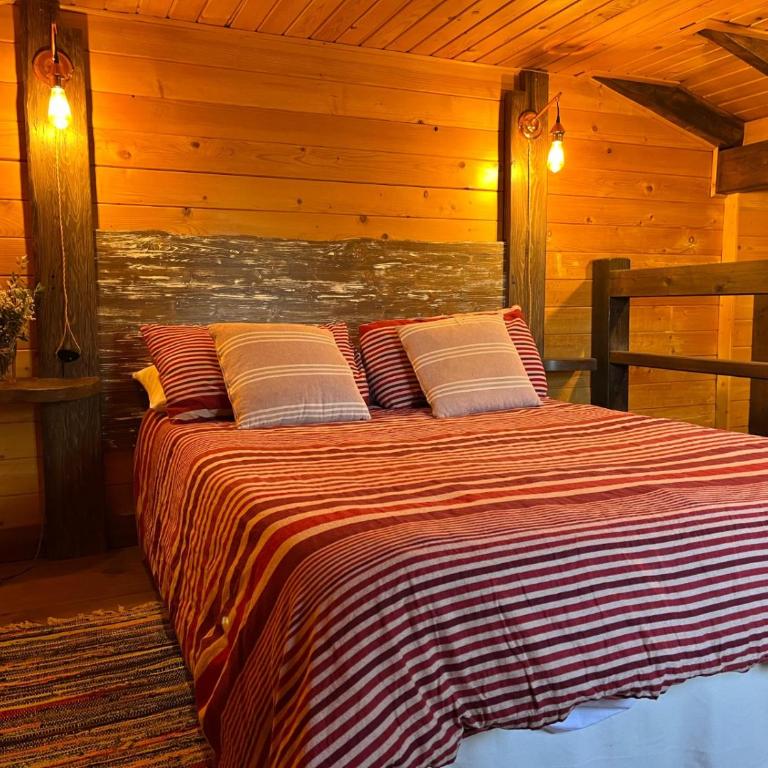 "LOS CASTILLOS" Casa Rural y espacio para eventos - Casa de 5 dormitorios - 19