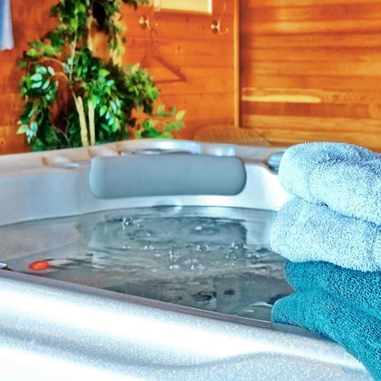 Chalet de Luxe 4* · Spa · Idéal Familles · 20 Pers. - Chalet 3 Chambres - 21