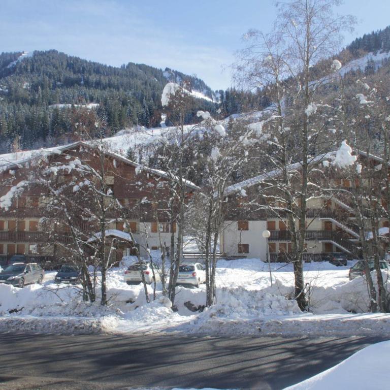 Appartement cosy 2 pièces, balcon et parking, Châtel - FR-1-198-113 - Appartement (4 Adultes) - 16