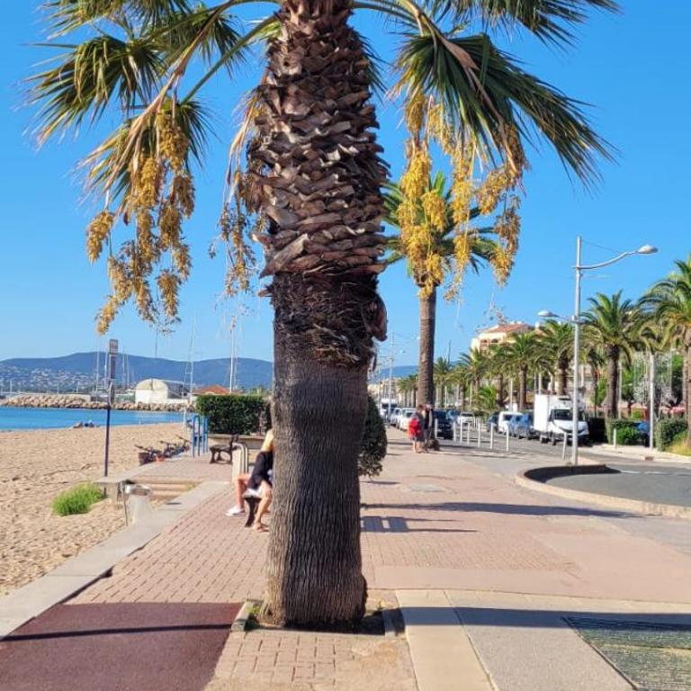 Appartement f2 au bord de mer - Appartamento con 1 Camera da Letto - 2