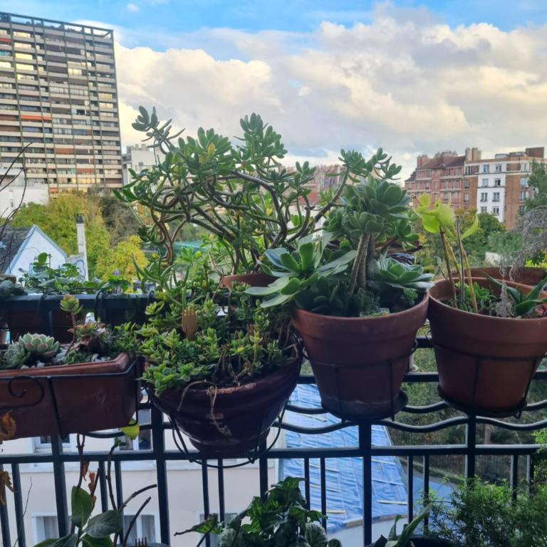 Le Nid D'Aigle - Appartement 1 Chambre - 36