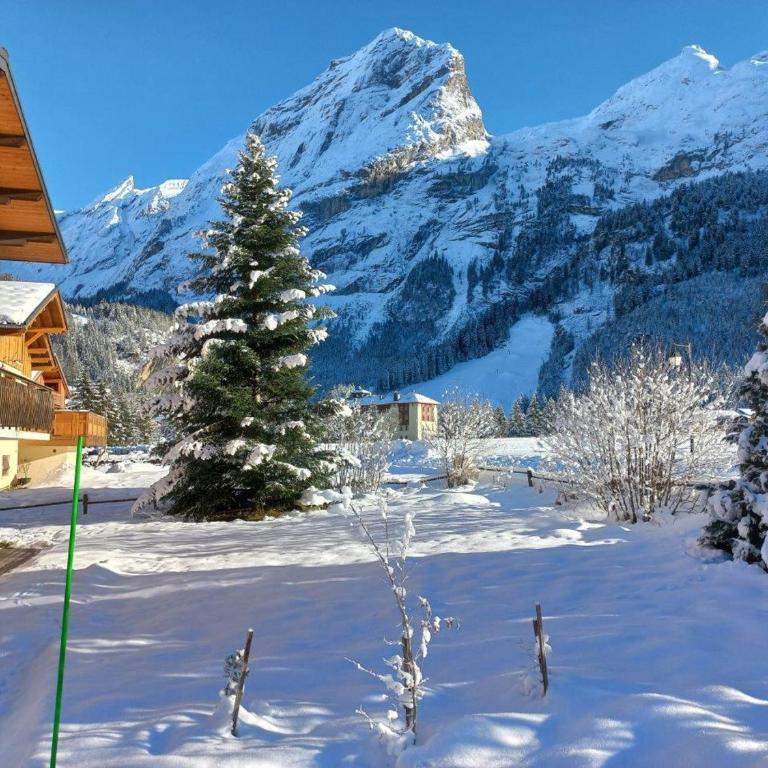 Chalet ensoleillé avec balcon et poêle à bois - FR-1-464-163 - Chalet 3 Chambres - 15
