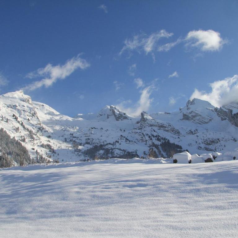 Chalet individuel avec cheminée et garage, 10 pers, La Clusaz - FR-1-459-2 - Chalet 3 Chambres - 17