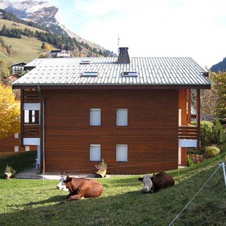 Charmant studio avec balcon et parking couvert, proche télémix et pistes, à La Clusaz - FR-1-459-61 - Studio - 13