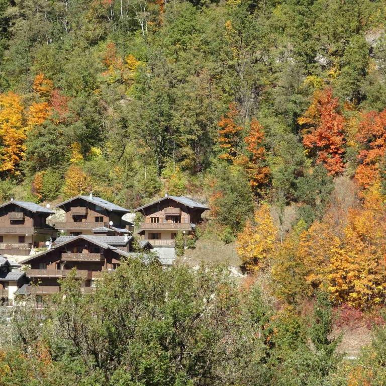Appartement alpin avec balcon sud, proche Courchevel - FR-1-464-3 - Appartement 2 Chambres - 19