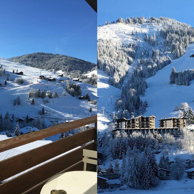 Appartement 2 Pièces, Ski au Pied, Balcon Sud, Confort pour 6 - FR-1-459-62 - Monolocale - 9