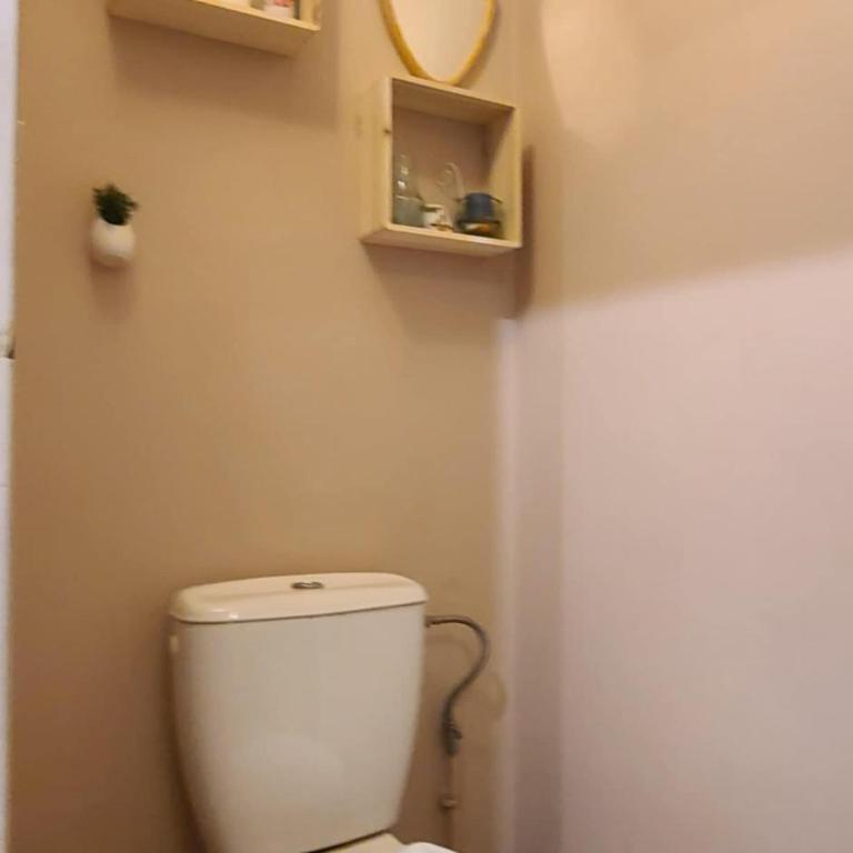 Joli T2 pour 4 à 5 personnes proche de la fac de médecine et à 300m du Tram 1, parking gratuit - One-Bedroom Apartment - 12