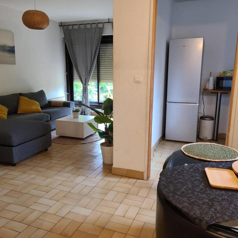 Joli T2 pour 4 à 5 personnes proche de la fac de médecine et à 300m du Tram 1, parking gratuit - One-Bedroom Apartment - 6