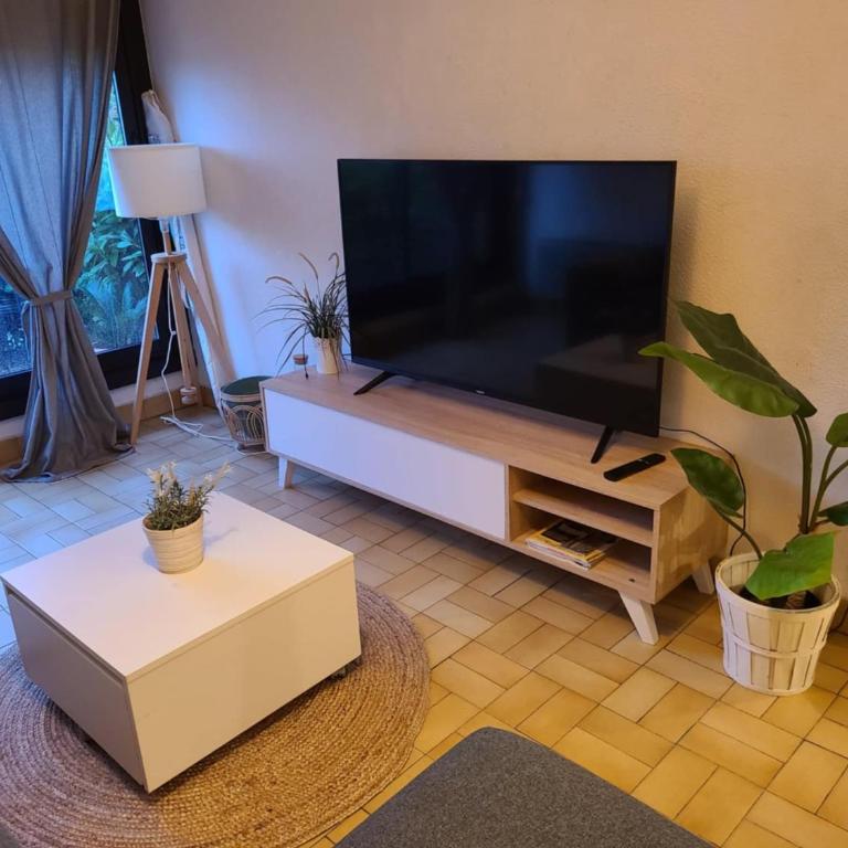 Joli T2 pour 4 à 5 personnes proche de la fac de médecine et à 300m du Tram 1, parking gratuit - One-Bedroom Apartment - 4