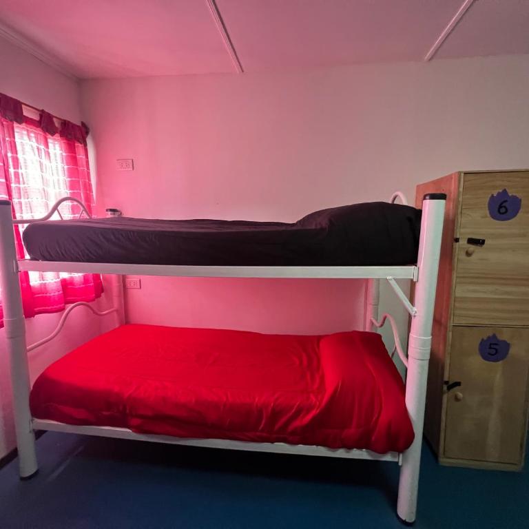 Complejo Don Joel - Cama en habitación compartida con 4 camas - 23