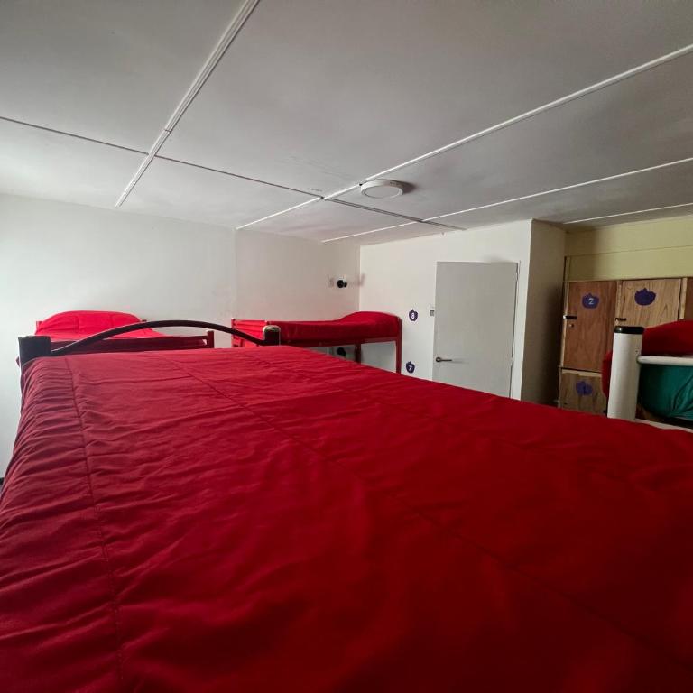 Complejo Don Joel - Cama en habitación compartida con 4 camas - 4