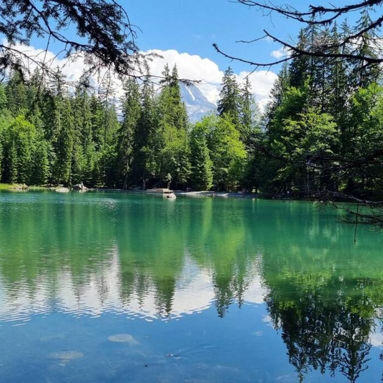 Le chalet des belges - Saint-Gervais - Chalet - 17