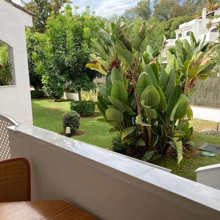 Casa Graciosa - Apartamento de 3 dormitorios - 47