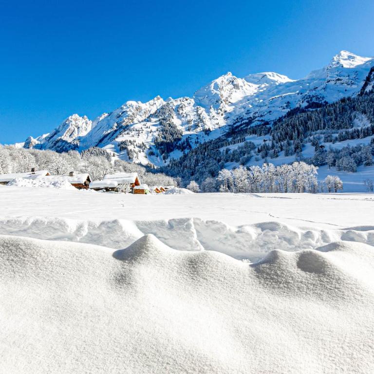 Appartement plein Sud avec garage à La Clusaz - FR-1-437-83 - Appartamento (4 Adulti) - 14