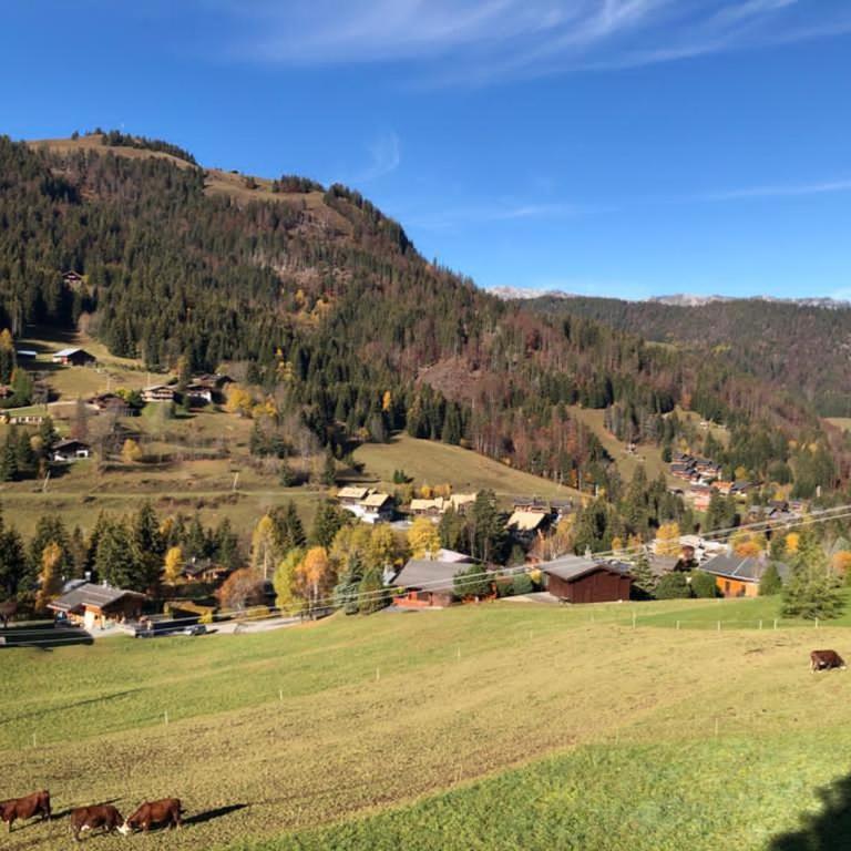 Duplex rénové 2020, 4 chambres, balcon, parking à La Clusaz - FR-1-459-171 - Appartamento (10 Adulti) - 14