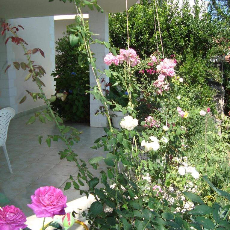 Вилла Natalia - Studio Apartman sa Pogledom na More - 35