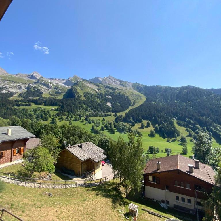 Chalet mitoyen 3 étoiles à La Clusaz, 500m des pistes, 10 pers, terrasse, cheminée, garage, WiFi - FR-1-459-186 - Chalet - 15