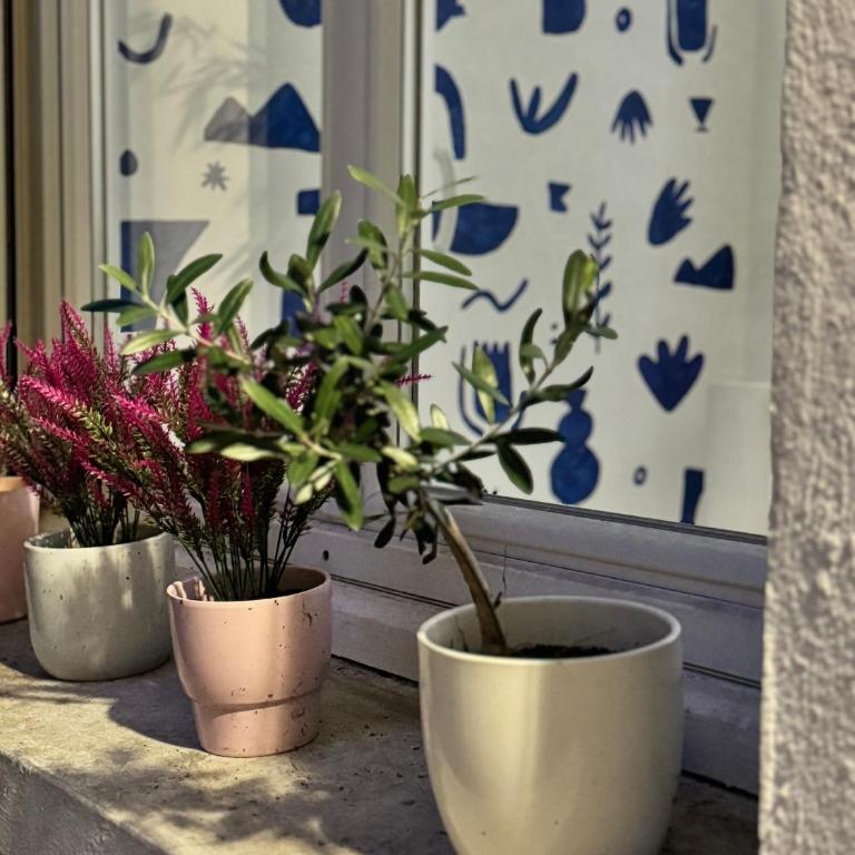 Duplex Trespoey - SPA - Place de parking - Appartement 1 Chambre - 40