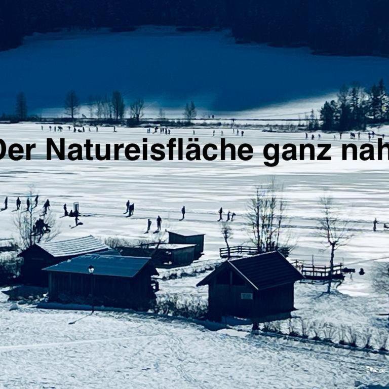 Apartments Kolbitsch mit Seeblick - Estudio con vistas al lago - 7