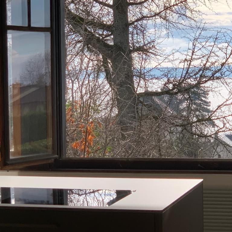'Le Petit Clos Suites'- Charming Getaway on Leman Lake - Loft - 20