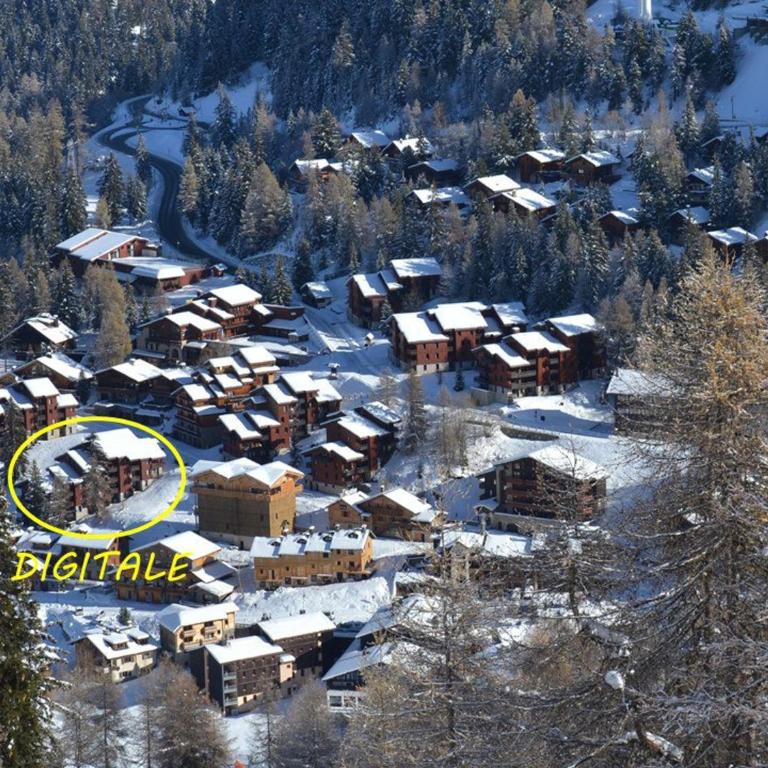 Appartement spacieux pour 8 personnes à Plagne 1800 - FR-1-455-249 - Apartment - 4